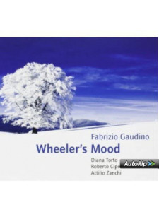 Fabrizio Gaudino - Wheeler's Mood (CD)