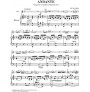 Andante for Flute and Orchestra C major KV 315